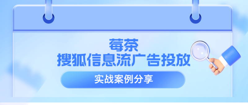 莓茶搜狐广告实战案例分享